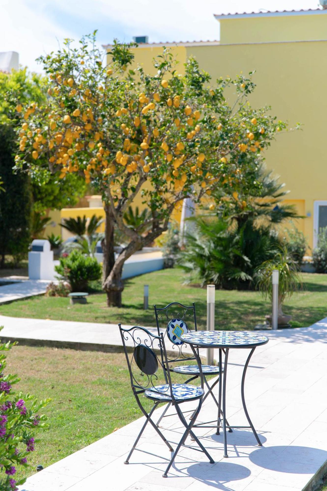 Il Leone Di Mare Hotel Procida Exterior foto